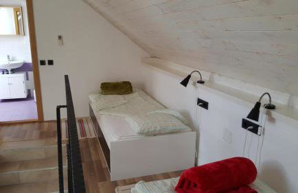 Family friendly house with a swimming pool Puljane, Krka - 11688 - Foto 10