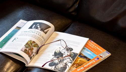 Stable Cottage - Photo 5