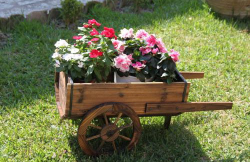 Arillas Studios - Foto 17