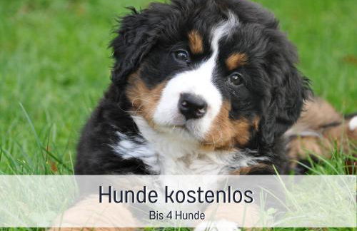 Am Feldrain - Urlaub mit Hund im Weserbergland - Photo 20