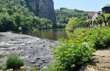 Wohnung mit Blick auf den Rheingrafenstein - Foto 11