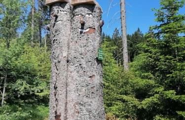 Ferienwohnung für Familien im Bayrischen Wald - Foto 19