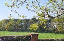 Begonia Cottage - Foto 31