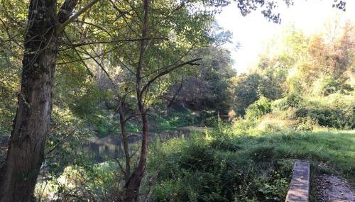 Le gite d'Or - Photo 4