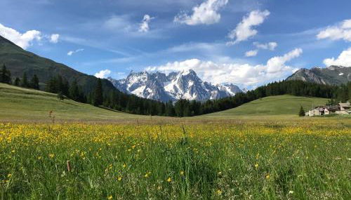 house of hearts - CIR10 - Foto 5