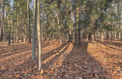 Spacious Family Escape Walk to Lake Michigan! - Foto 33