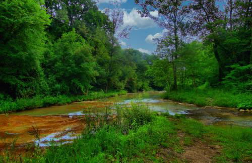 Agriturismo Sacchiafarm - Foto 38