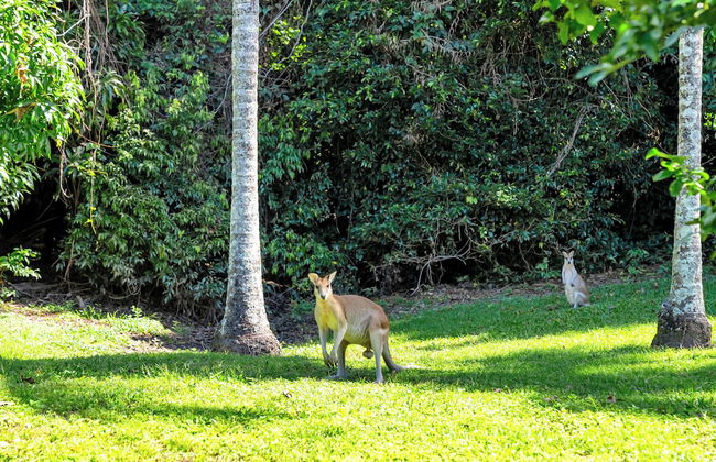 Argosy On The Beach - Foto 52