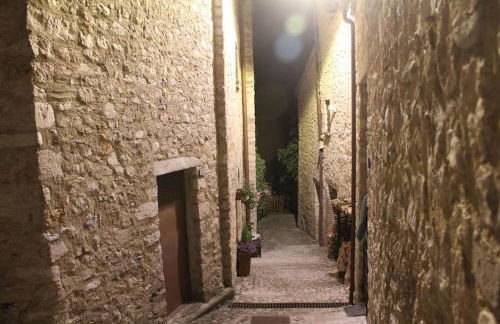 Il Rustico di Meggiano - Photo 12