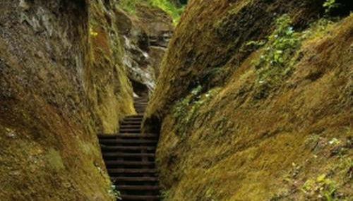 Haus Zum Haiden - Foto 4