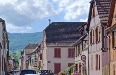 Le Nid Douillet de Bergheim - Foto 12