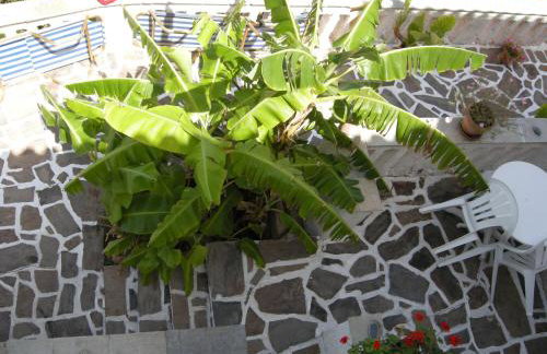 Alkioni Studios - Foto 53