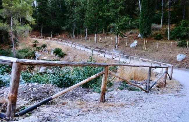 Agriturismo Tenute Pispisa Segesta - Foto 26