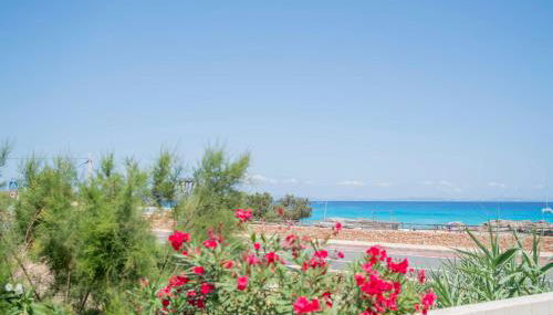 Cavall de Llevant - Formentera Break - Photo 3