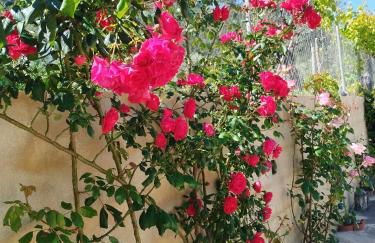 Casas Rurales Carpe Diem - Foto 11