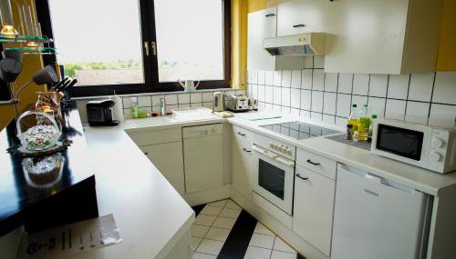 Schönes Studio in der Rheinebene, zentral gelegen - Foto 4, stove, dishwasher, pet friendly, toaster, minibar