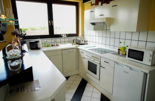 Schönes Studio in der Rheinebene, zentral gelegen - Foto 4