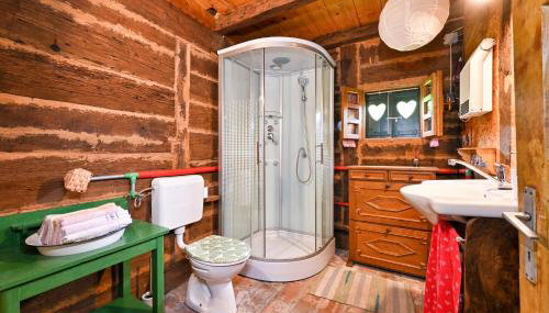 Kuća za odmor Pčelica & Zagorje - Foto 3, Shower