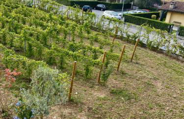 Sole e Luna nella Vigna - Foto 3