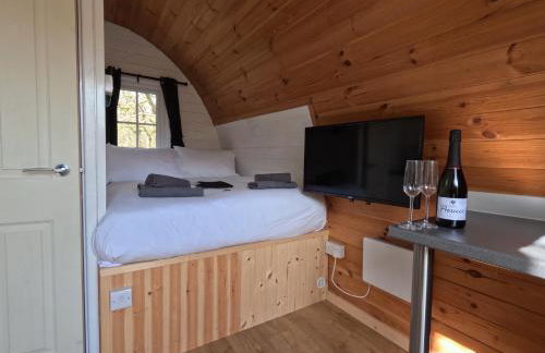 Ash Cabin with Hot Tub - Foto 10