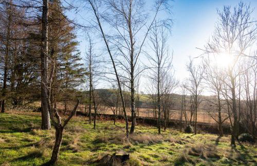 Craignair - Photo 27