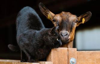 Cascina Bagaggera - Foto 19