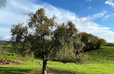 Wald & Wiesen Apartment im Bergischen Land - Urlaub, Köln, Messe & Geschäftsreise - Foto 27