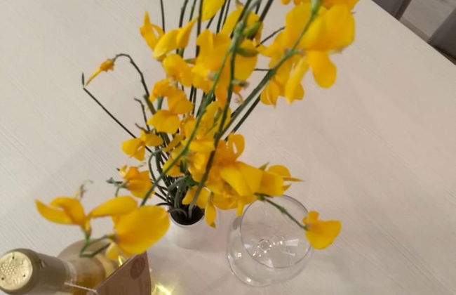 Apartments Jovanovic - Foto 19