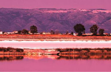 Maioliche Apartment - Foto 54