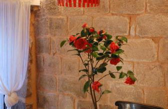 Casa da Cisterna - Foto 43