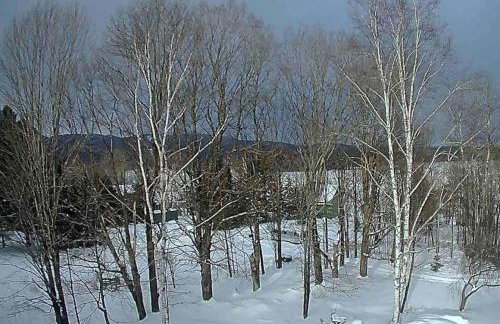 Birches and Blueberries with Beach Access - Foto 7