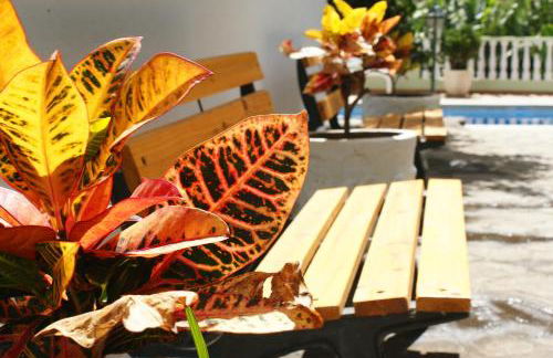 Apartamentos Nelly - Foto 31