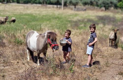 Arca dos Animais - Farming & SPA - Foto 61