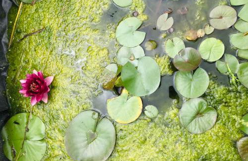 Gîte Tanagra : Maison avec piscine et vue exceptionnelle - Foto 59