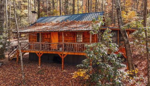 South Fork cabin at Cabin Fever in NC - Foto 5