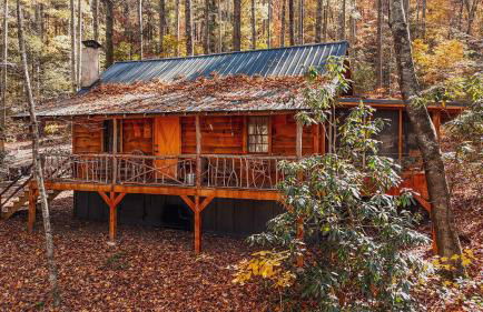 South Fork cabin at Cabin Fever in NC - Foto 5