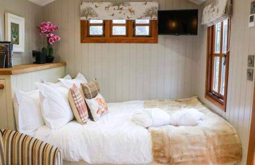 Little Silver Fox - Foto 8