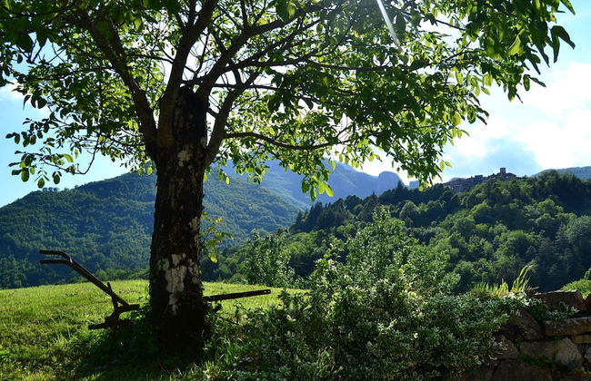 Belvilla by OYO Boccabugia del Colle - Foto 21