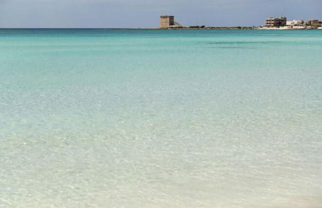 2867 Casa Sole Mio by Barbarhouse - Photo 21