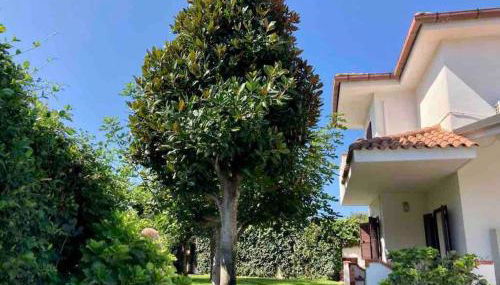 Villa Eleonora con piscina privata a Sabaudia - Foto 5, Garden, Garden view