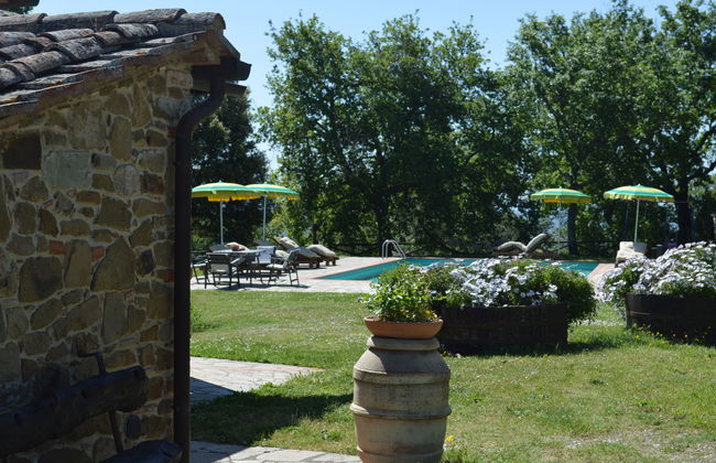 A spasso tra gli ulivi - Foto 16