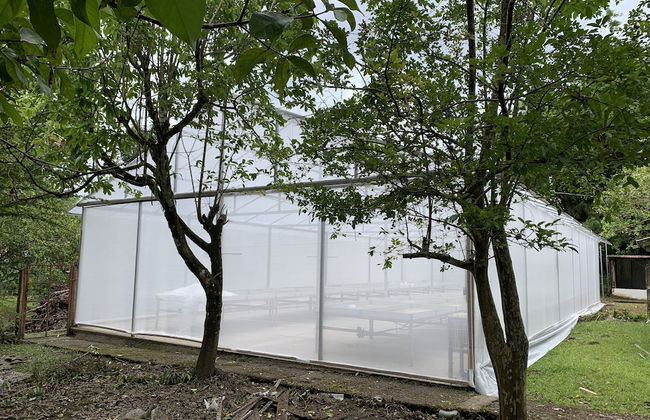 TIPS Vacation - Foto 38