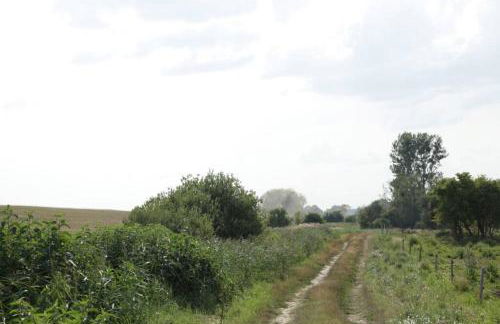 Ferienwohnung in Peetzig am See - Foto 57