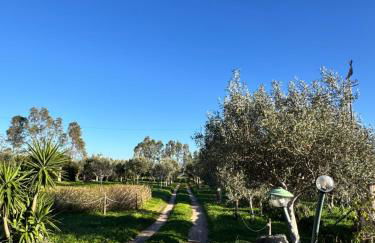 L'Uliveto HOLIDAY HOUSE - Photo 45