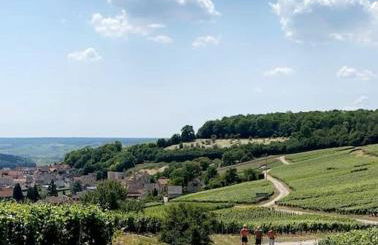 le 29 - Appartement au coeur du vignoble champenois - Foto 24