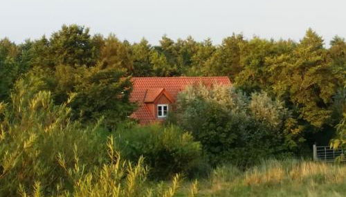 Ferienwohnung Altneukoog - Foto 3
