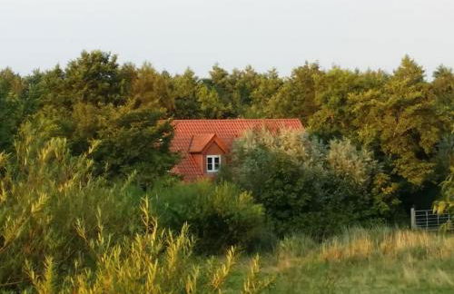 Ferienwohnung Altneukoog - Foto 3