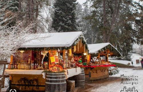 APPARTAMENTO ELISA - Photo 14