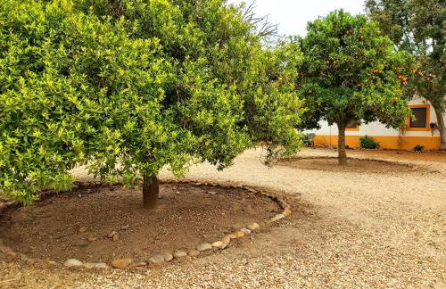 Casas Herdade do Convento da Serra - Foto 71