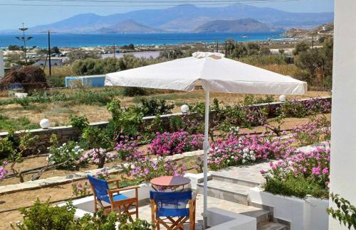 Dina's Diamond - Foto 54